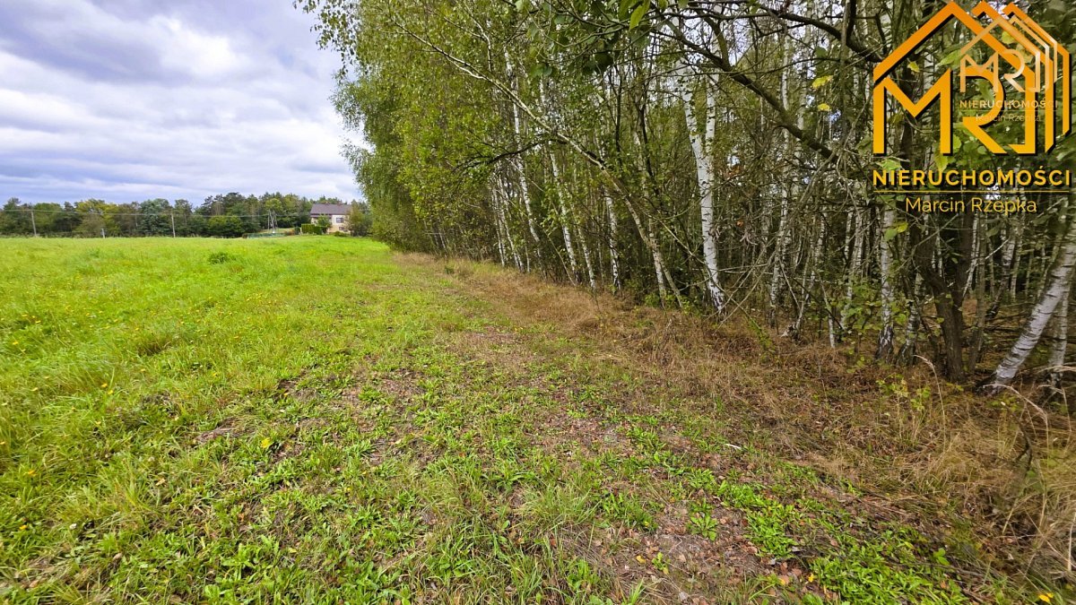 1 ha działki rolnej w gminie Szerzyny — zdjęcie 14