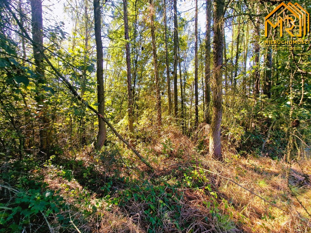 Działka budowlano-rolna w gminie Tuchów — zdjęcie 12