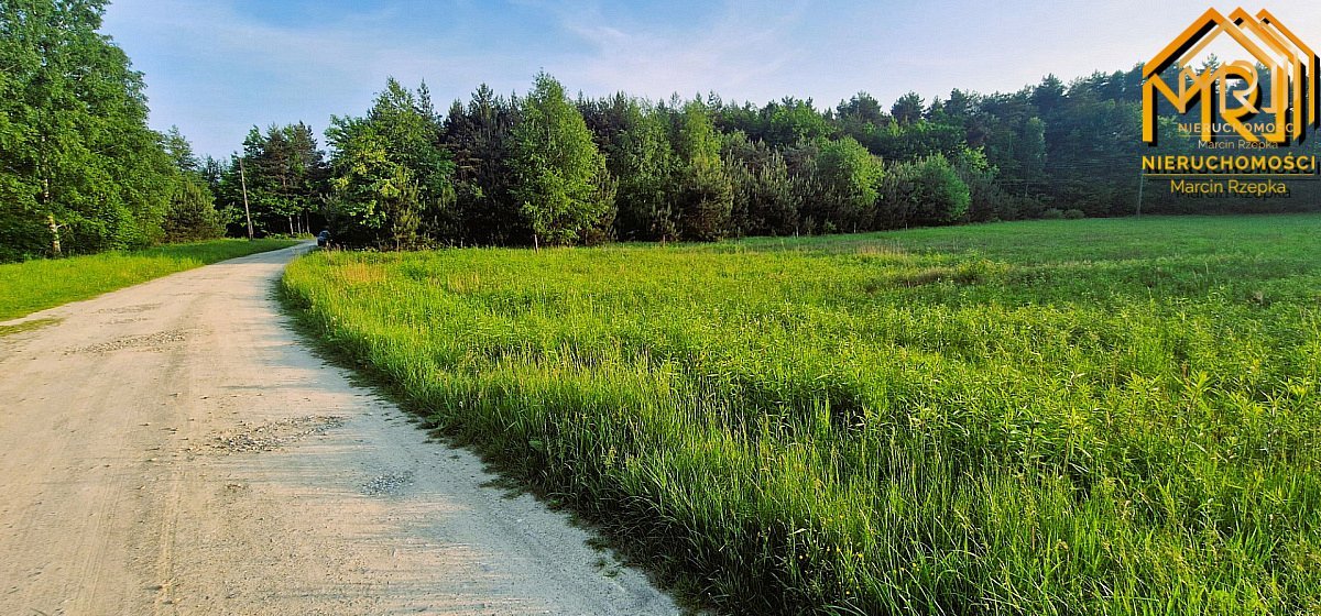 Działka budowlana w Pogórskiej Woli, gmina Skrzysz — zdjęcie 5