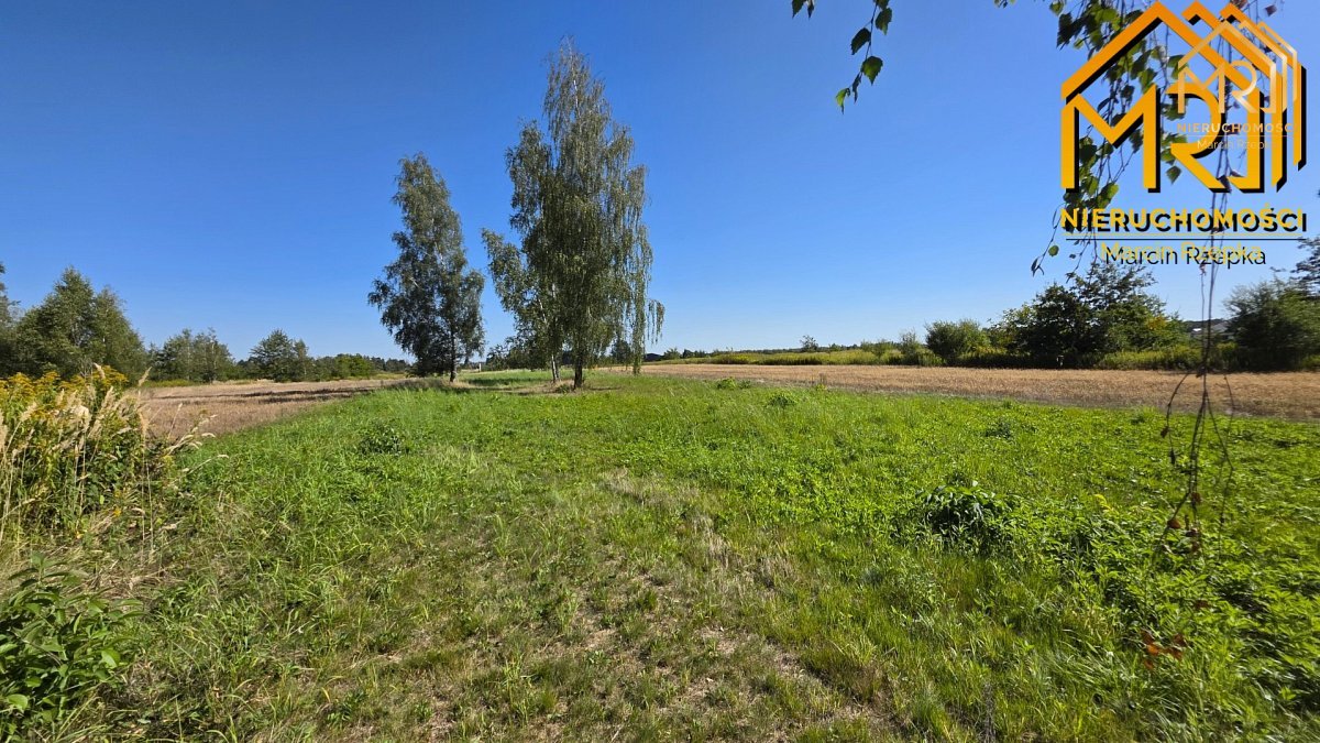 4 działki budowlane w Skrzyszowie – blisko Tarno — zdjęcie 9