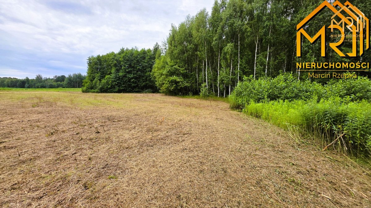 Kompleks 4 działek budowlanych w Pogórskiej Woli — zdjęcie 7