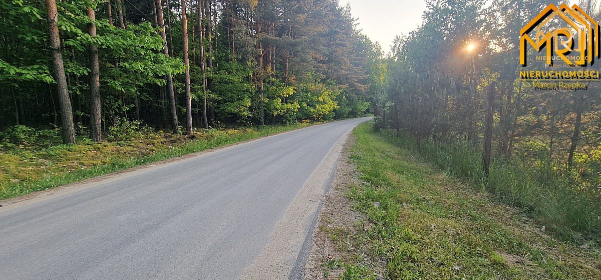 Działka budowlana w Pogórskiej Woli, gmina Skrzysz — zdjęcie 8