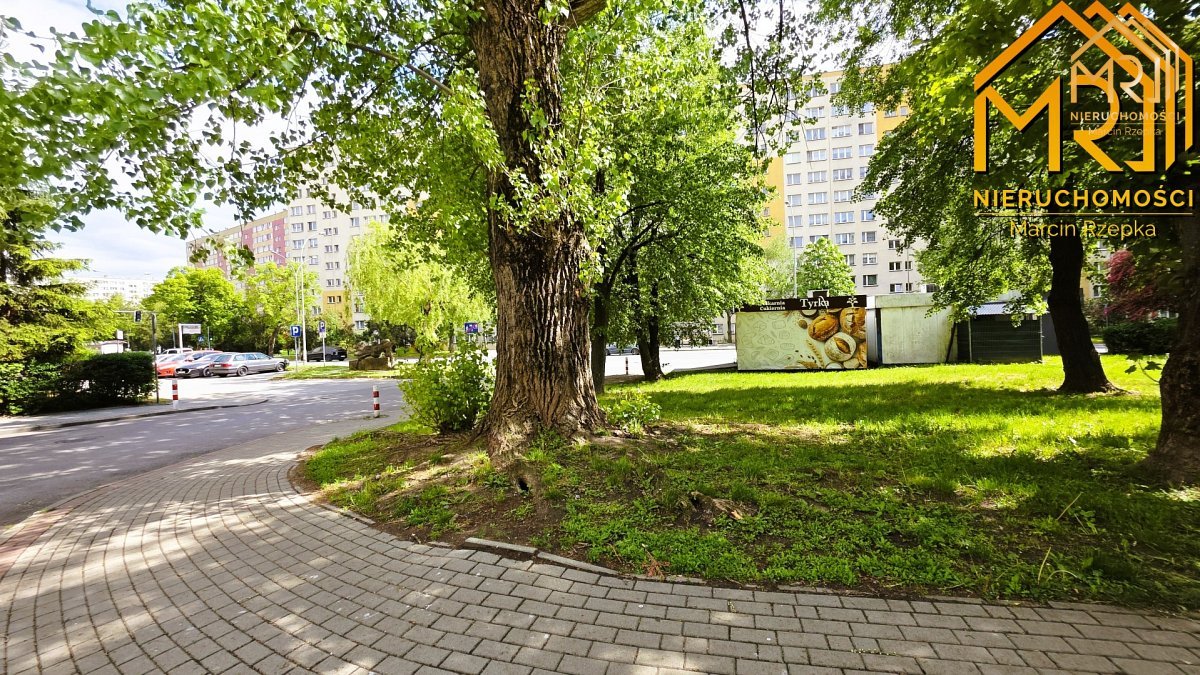 Mieszkanie na parterze  – po kapitalnym remoncie — zdjęcie 15