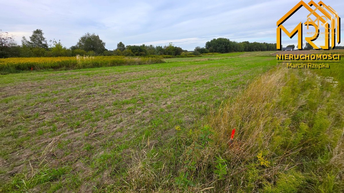 Sześć działek pod zabudowę – od 8 do 15 ar, blisko — zdjęcie 15