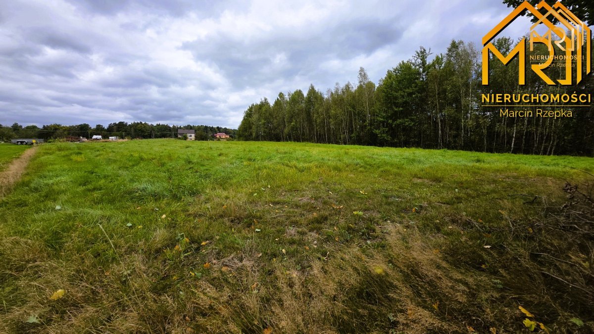 1 ha działki rolnej w gminie Szerzyny — zdjęcie 11