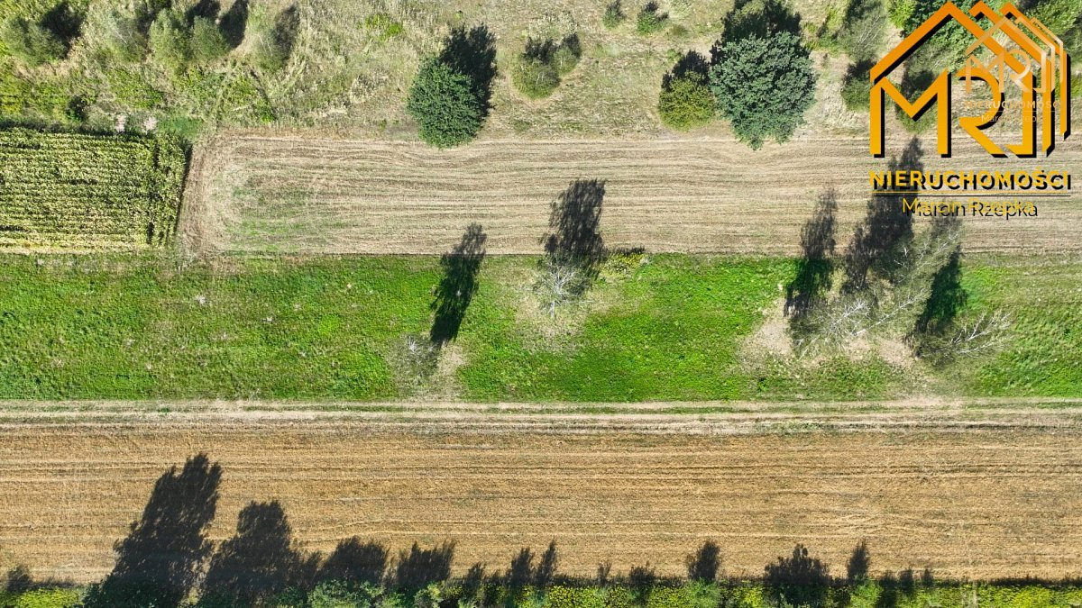4 działki budowlane w Skrzyszowie – blisko Tarno — zdjęcie 4