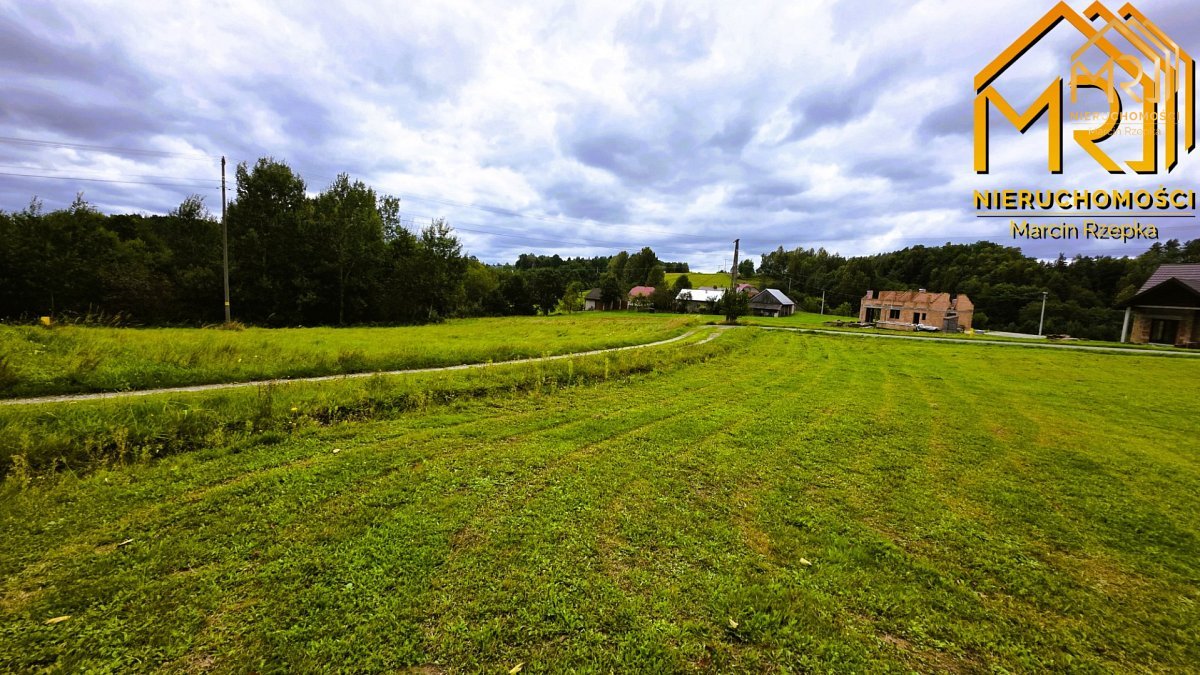 1 ha działki rolnej w gminie Szerzyny — zdjęcie 10