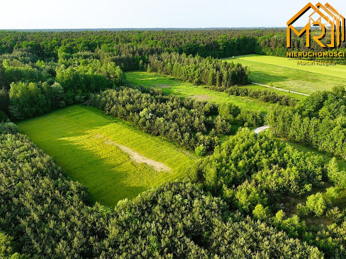 Działka budowlana w Pogórskiej Woli, gmina Skrzysz — zdjęcie 10