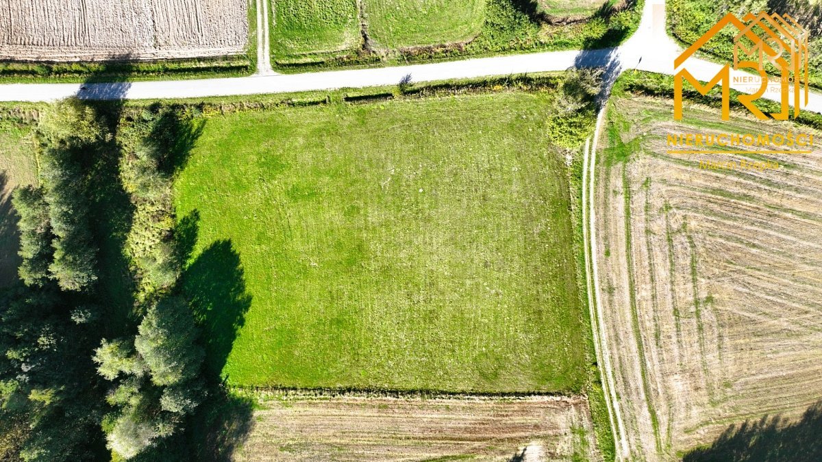 Działka na sprzedaż – Zwiernik — zdjęcie 5