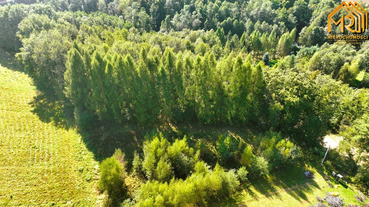 Działka budowlano-rolna w gminie Tuchów — zdjęcie 7