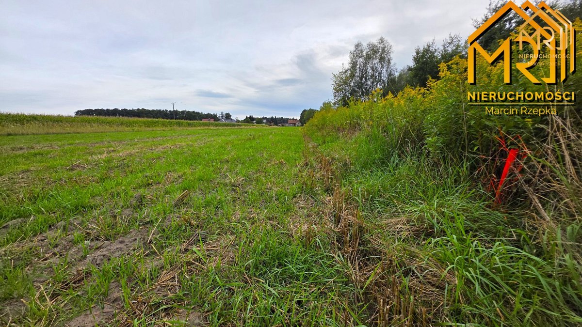 Sześć działek pod zabudowę – od 8 do 15 ar, blisko — zdjęcie 13