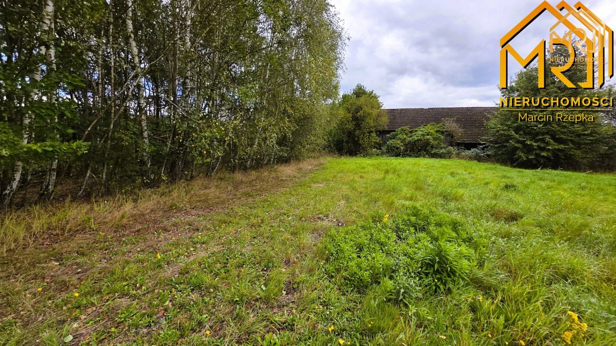 1 ha działki rolnej w gminie Szerzyny — zdjęcie 15