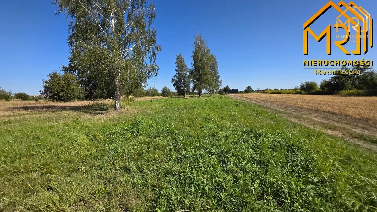 4 działki budowlane w Skrzyszowie – blisko Tarno — zdjęcie 8