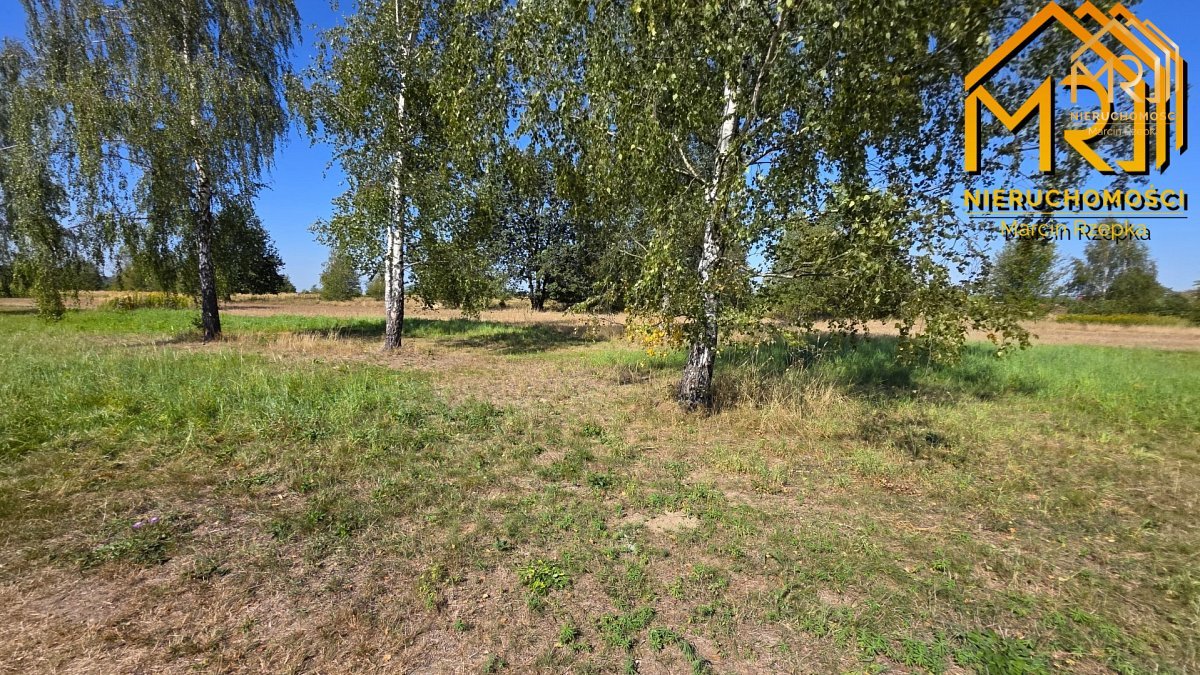 4 działki budowlane w Skrzyszowie – blisko Tarno — zdjęcie 11