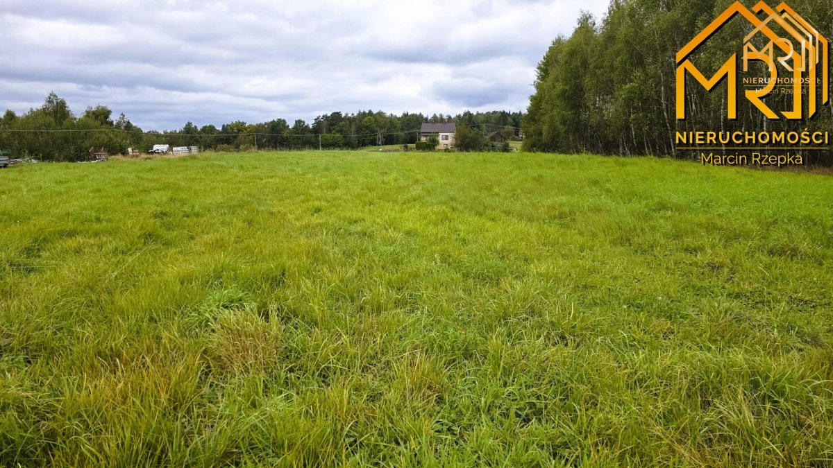 1 ha działki rolnej w gminie Szerzyny — zdjęcie 5