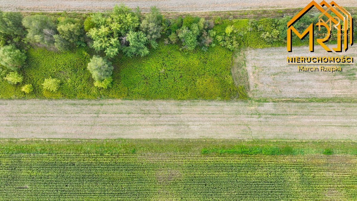 Sześć działek pod zabudowę – od 8 do 15 ar, blisko — zdjęcie 22