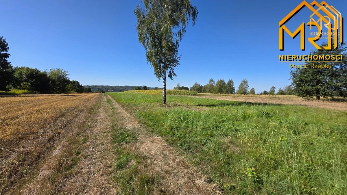 4 działki budowlane w Skrzyszowie – blisko Tarno — zdjęcie 7