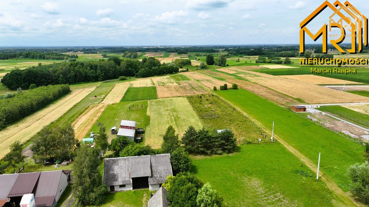 Działki leśne w gm. Lisia Góra — zdjęcie 3