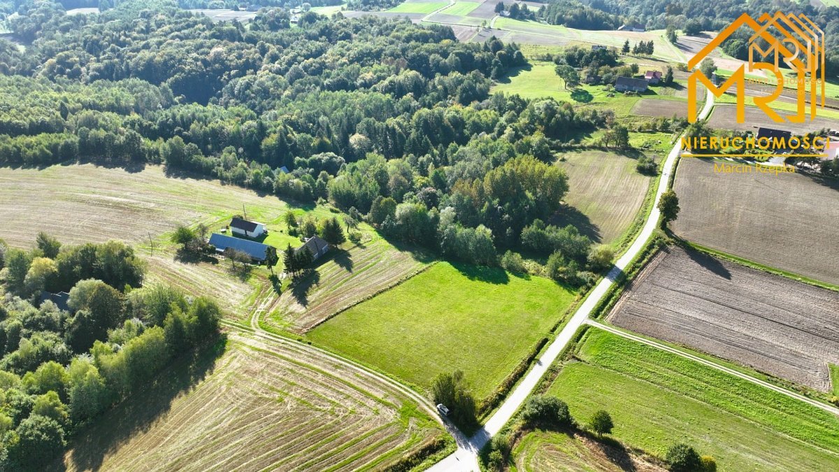 Działka na sprzedaż – Zwiernik — zdjęcie 3