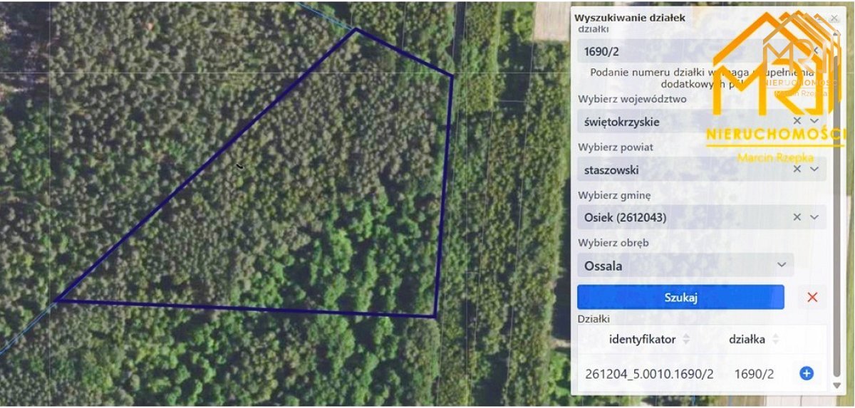 Duża działka leśna w gminie Osiek — zdjęcie 12