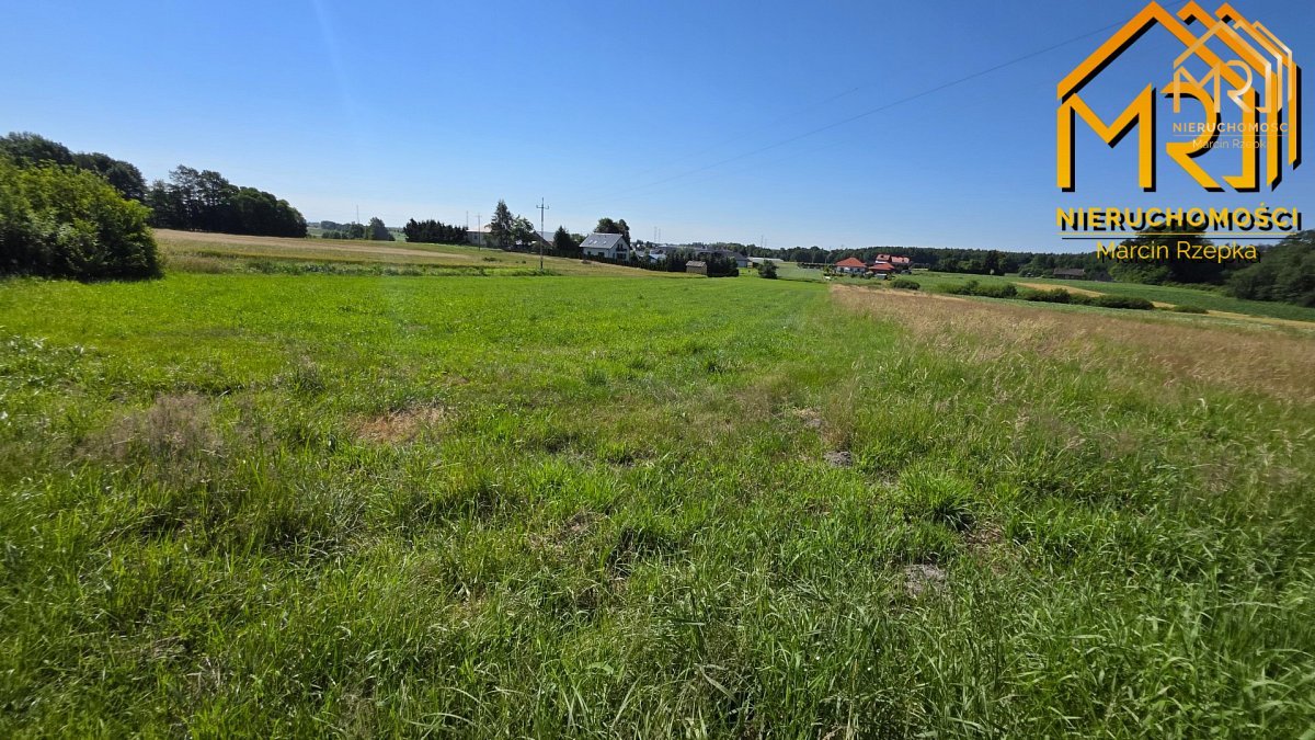 Działka z wydanymi warunkami zabudowy – gm. Czarna — zdjęcie 6