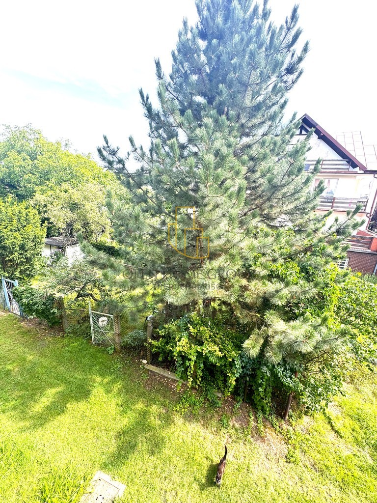 Grecka/Fabryczna/Muchobór/na wynajem/2 pok/ogród — zdjęcie 17