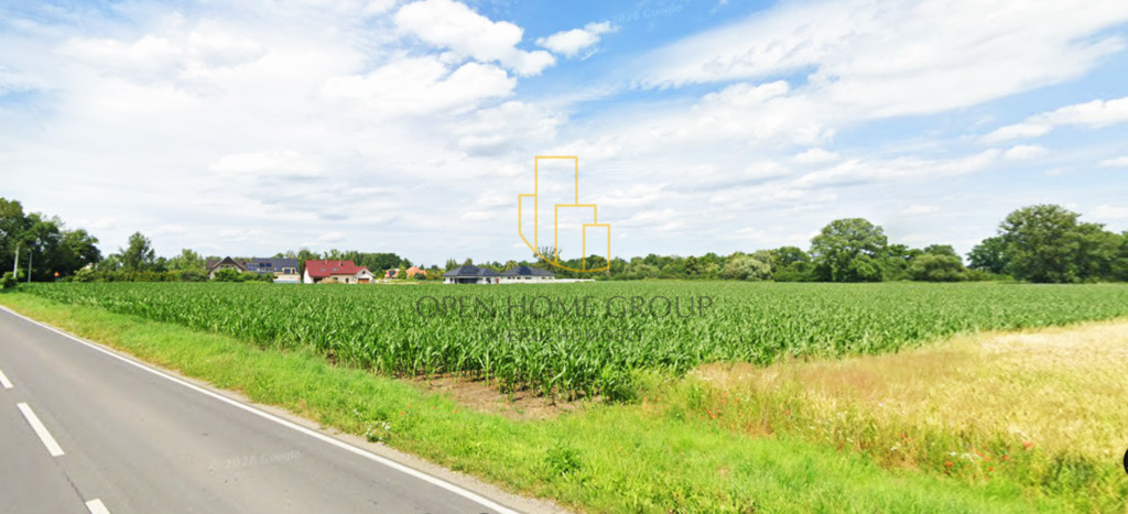 Szukalice, Żórawina, działka inwestycyjna 43,10 ha — zdjęcie 9