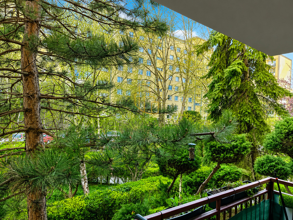 3 pokoje | wysoki parter | balkon | piwnica — zdjęcie 3