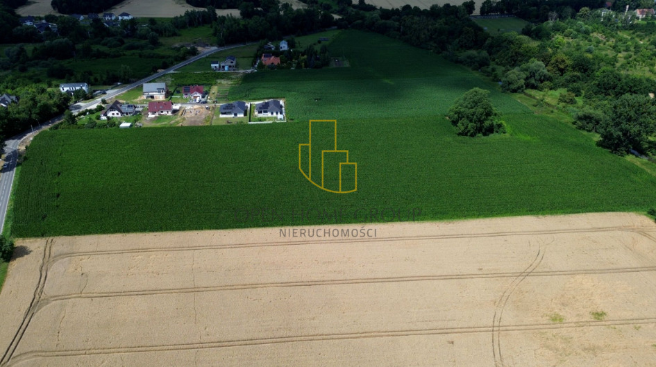 Szukalice, Żórawina, działka inwestycyjna 43,10 ha — zdjęcie 10